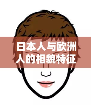 日本人与欧洲人的相貌特征差异：从五官到轮廓的全面剖析