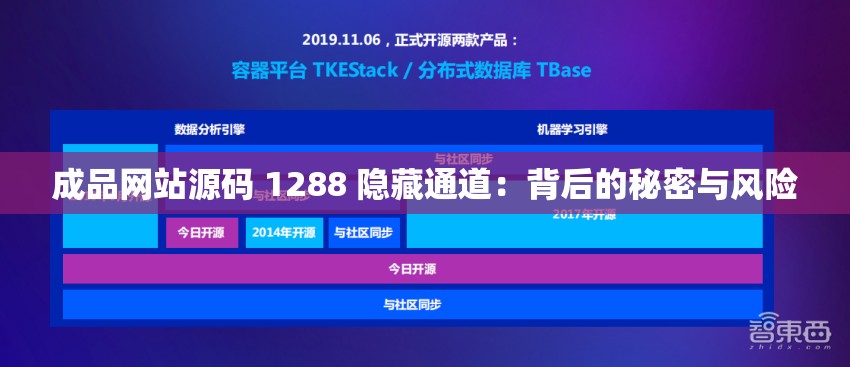 成品网站源码 1288 隐藏通道：背后的秘密与风险