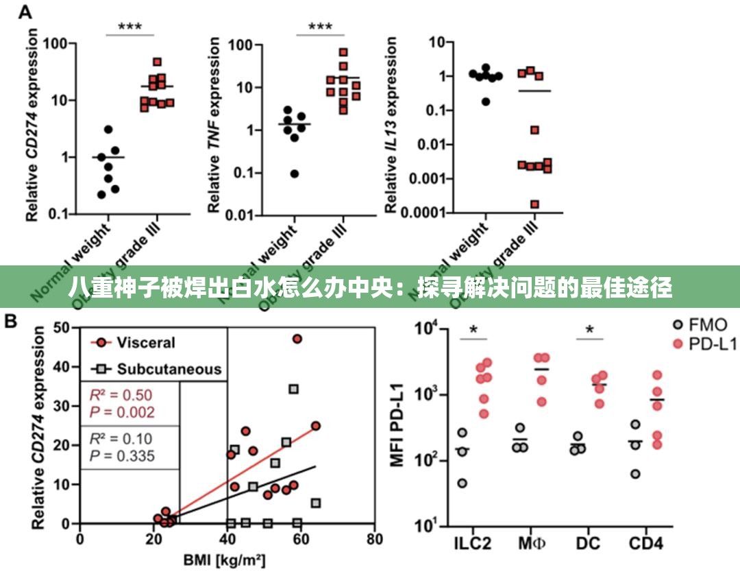 八重神子被焊出白水怎么办中央：探寻解决问题的最佳途径