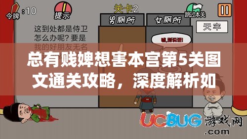 总有贱婢想害本宫第5关图文通关攻略，深度解析如何绕过侍卫找到王太医