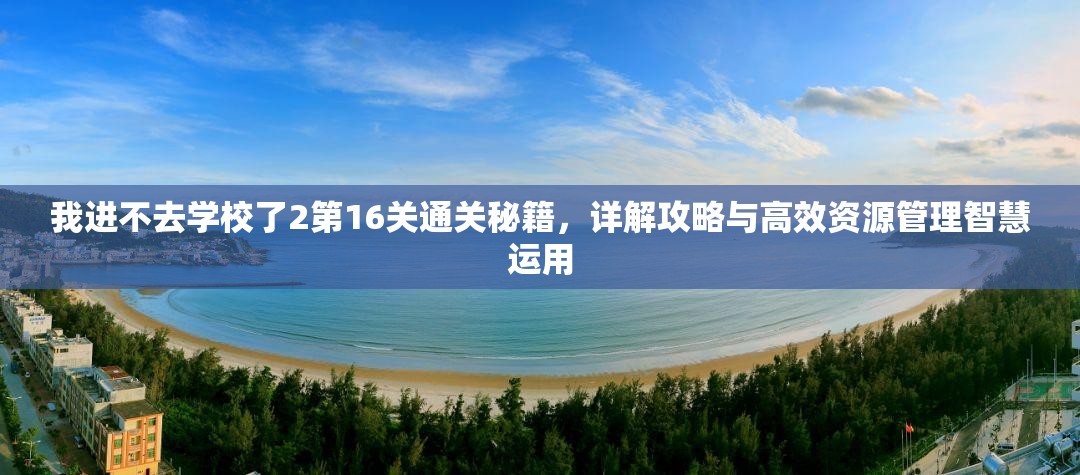 我进不去学校了2第16关通关秘籍，详解攻略与高效资源管理智慧运用