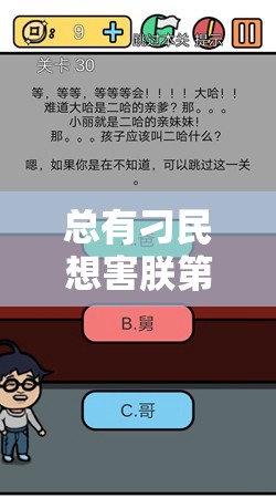 总有刁民想害朕第41关通关秘籍，深度图文攻略与技巧全面解析