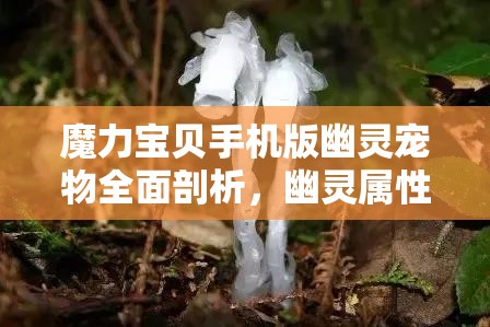 魔力宝贝手机版幽灵宠物全面剖析，幽灵属性图鉴、获得方式及资质范围全解析