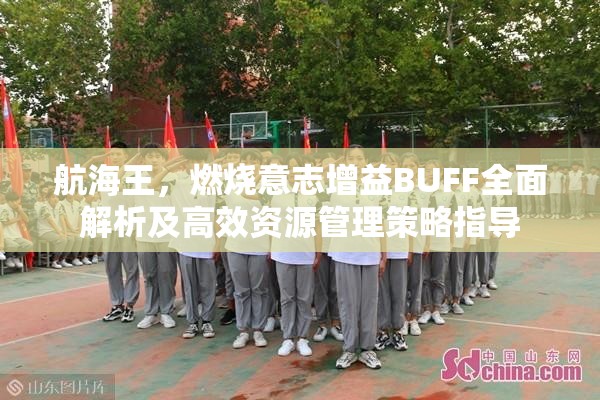 航海王，燃烧意志增益BUFF全面解析及高效资源管理策略指导