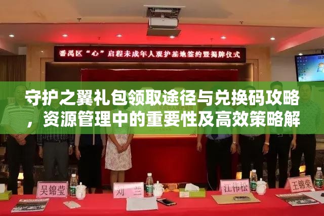 守护之翼礼包领取途径与兑换码攻略，资源管理中的重要性及高效策略解析