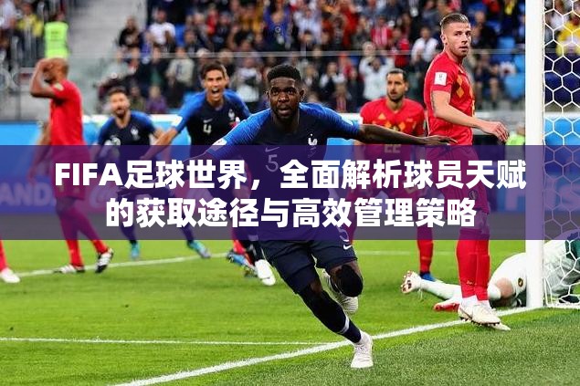 FIFA足球世界，全面解析球员天赋的获取途径与高效管理策略