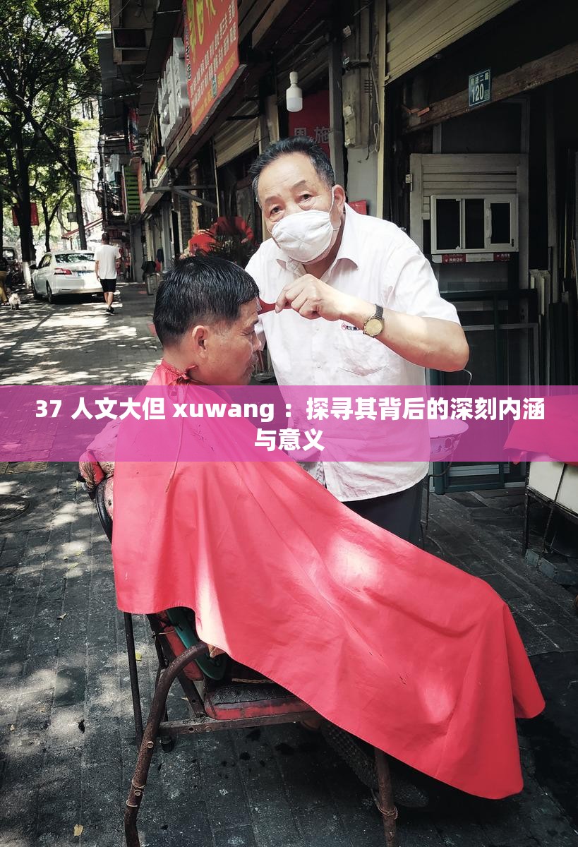 37 人文大但 xuwang ：探寻其背后的深刻内涵与意义