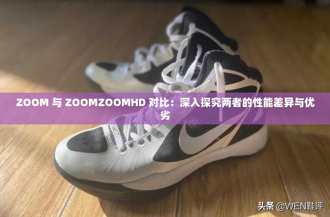 ZOOM 与 ZOOMZOOMHD 对比：深入探究两者的性能差异与优劣