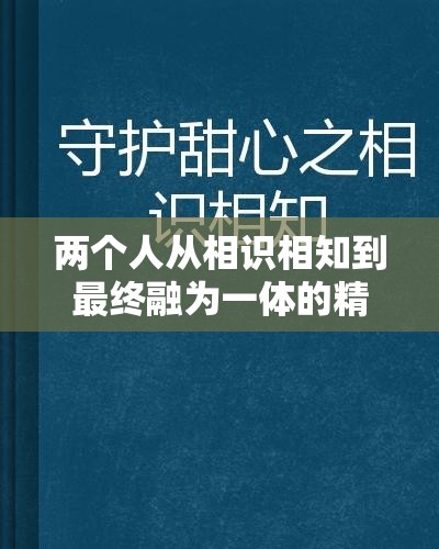 两个人从相识相知到最终融为一体的精彩历程画面