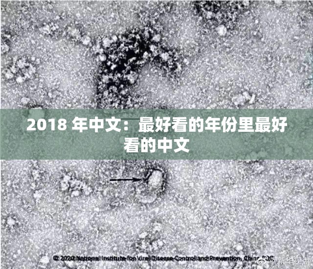 2018 年中文：最好看的年份里最好看的中文