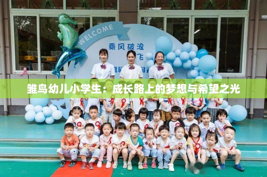 雏鸟幼儿小学生：成长路上的梦想与希望之光