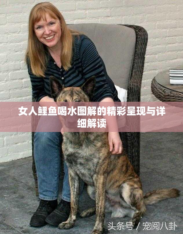 女人鲤鱼喝水图解的精彩呈现与详细解读