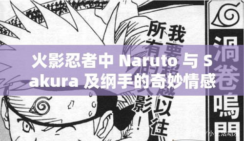 火影忍者中 Naruto 与 Sakura 及纲手的奇妙情感纠葛