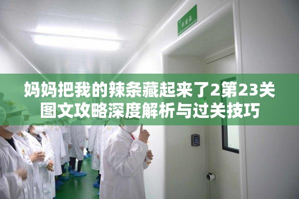 妈妈把我的辣条藏起来了2第23关图文攻略深度解析与过关技巧