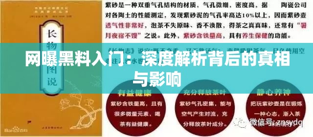 网曝黑料入门：深度解析背后的真相与影响