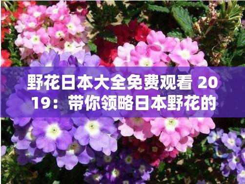 野花日本大全免费观看 2019：带你领略日本野花的独特魅力