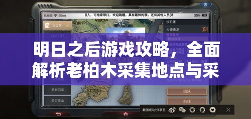 明日之后游戏攻略，全面解析老柏木采集地点与采集方法指南