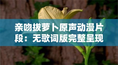 亲吻拔萝卜原声动漫片段：无歌词版完整呈现，重温经典场景与情感共鸣