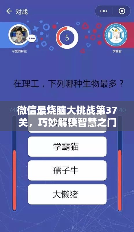 微信最烧脑大挑战第37关，巧妙解锁智慧之门，展现你的超凡思维能力