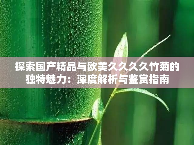 探索国产精品与欧美久久久久竹菊的独特魅力：深度解析与鉴赏指南