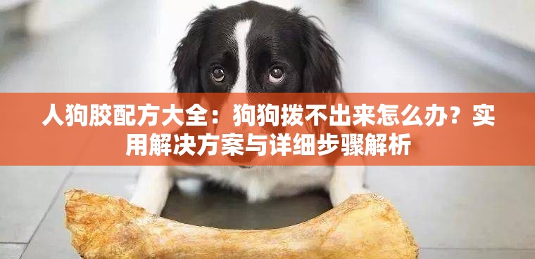 人狗胶配方大全：狗狗拨不出来怎么办？实用解决方案与详细步骤解析