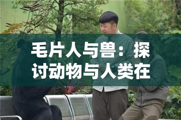 毛片人与兽：探讨动物与人类在影视作品中的互动关系及其社会影响