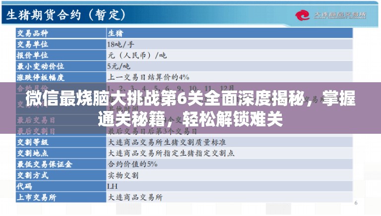 微信最烧脑大挑战第6关全面深度揭秘，掌握通关秘籍，轻松解锁难关