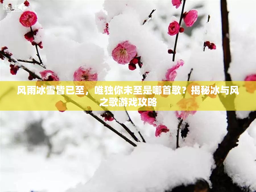 风雨冰雪皆已至，唯独你未至是哪首歌？揭秘冰与风之歌游戏攻略