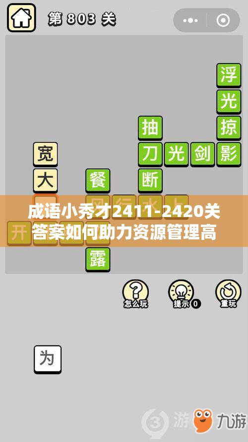 成语小秀才2411-2420关答案如何助力资源管理高效利用？