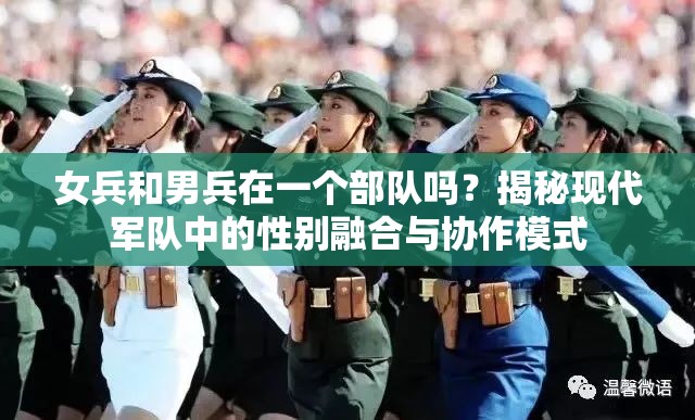 女兵和男兵在一个部队吗？揭秘现代军队中的性别融合与协作模式