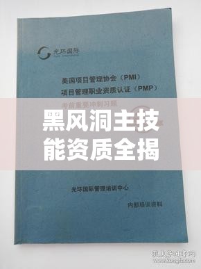 黑风洞主技能资质全揭秘，它在资源管理中究竟有多重要，如何高效利用？