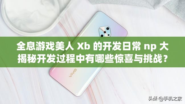 全息游戏美人 Xb 的开发日常 np 大揭秘开发过程中有哪些惊喜与挑战？