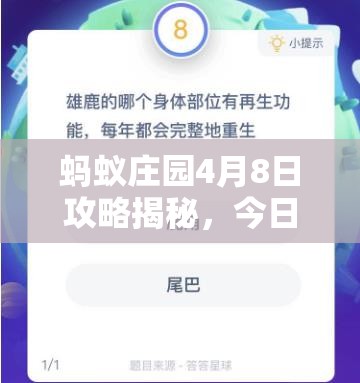 蚂蚁庄园4月8日攻略揭秘，今日答案深度解析，你的游戏还能这样优化？