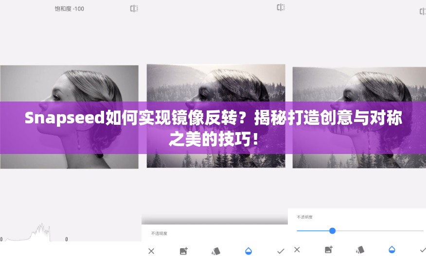 Snapseed如何实现镜像反转？揭秘打造创意与对称之美的技巧！