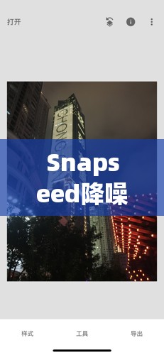 Snapseed降噪功能怎么用？轻松学会，打造超清晰细腻图像！