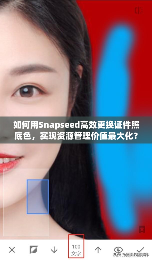 如何用Snapseed高效更换证件照底色，实现资源管理价值最大化？