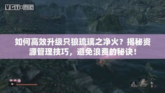 如何高效升级只狼琉璃之净火？揭秘资源管理技巧，避免浪费的秘诀！