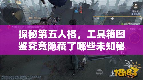 探秘第五人格，工具箱图鉴究竟隐藏了哪些未知秘密？