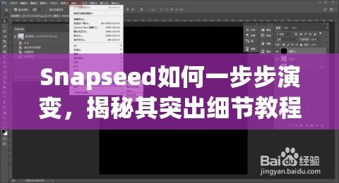 Snapseed如何一步步演变，揭秘其突出细节教程的神奇历程？