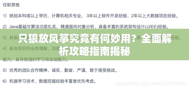 只狼放风筝究竟有何妙用？全面解析攻略指南揭秘