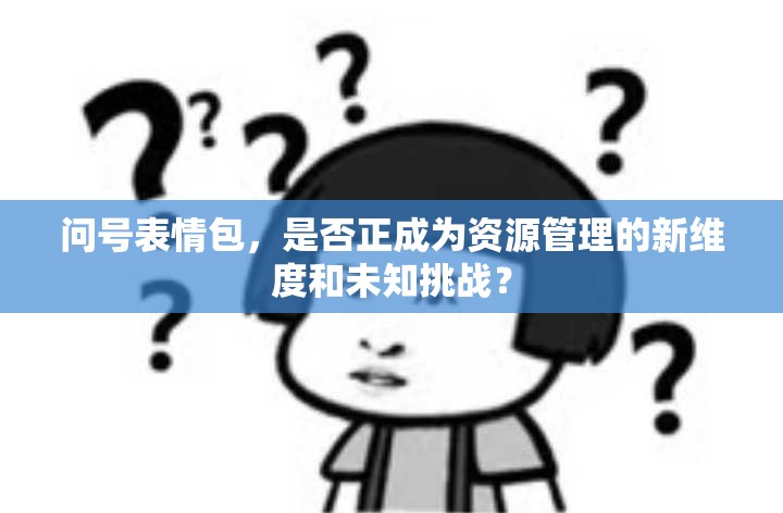 问号表情包，是否正成为资源管理的新维度和未知挑战？