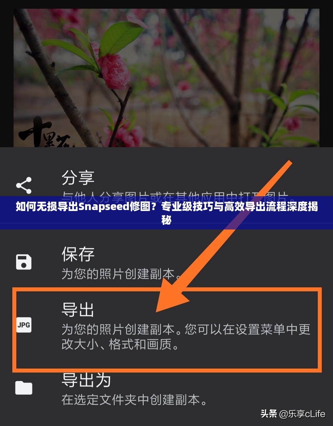 如何无损导出Snapseed修图？专业级技巧与高效导出流程深度揭秘