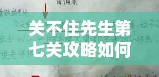 关不住先生第七关攻略如何历经变迁？揭秘其演变史上的悬念！