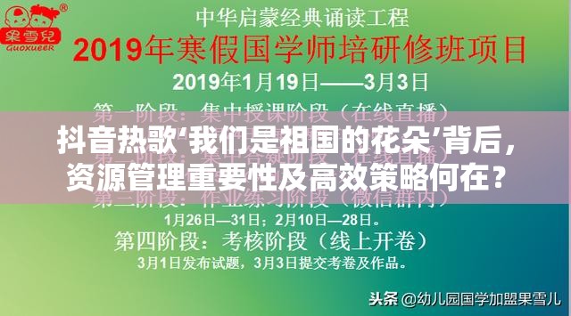 抖音热歌‘我们是祖国的花朵’背后，资源管理重要性及高效策略何在？