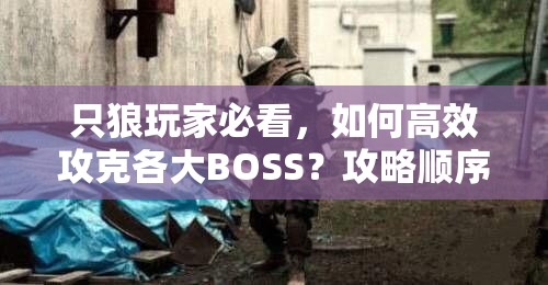 只狼玩家必看，如何高效攻克各大BOSS？攻略顺序详解揭秘！