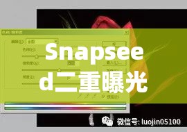 Snapseed二重曝光教程大揭秘，它的演变史中隐藏了哪些创意奇迹？