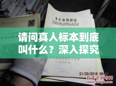 请问真人标本到底叫什么？深入探究其名称与相关信息大揭秘