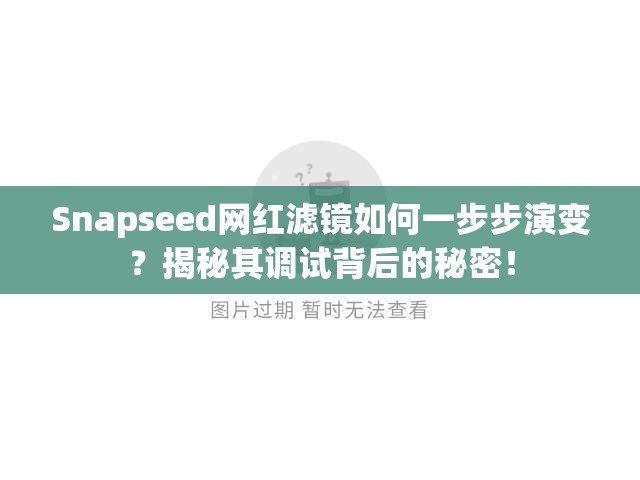 Snapseed网红滤镜如何一步步演变？揭秘其调试背后的秘密！