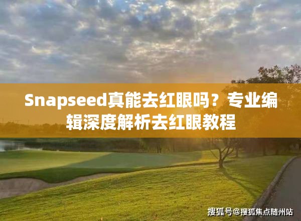 Snapseed真能去红眼吗？专业编辑深度解析去红眼教程