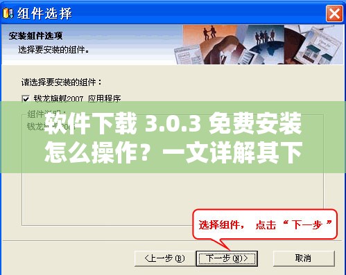 软件下载 3.0.3 免费安装怎么操作？一文详解其下载安装步骤